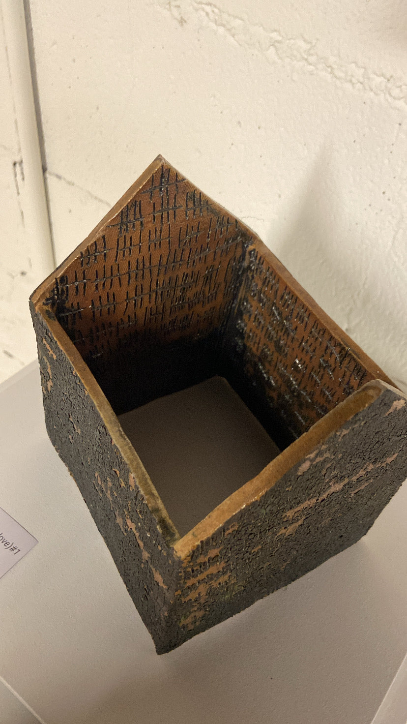 #1 Untitled (Housing, a cradle for love), (2005) by Mario Petrirena